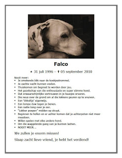 memorandum 2010-09-05 falco1